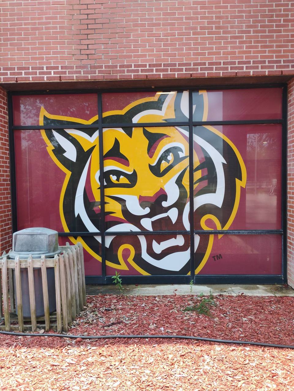 Tiger window graphic: Window graphics on a brick building